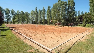  Erste Schritte mit dem Reiten 